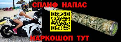 индика Лесосибирск