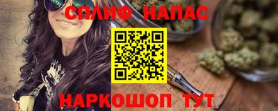 индика Лесосибирск