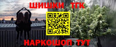 индика Лесосибирск