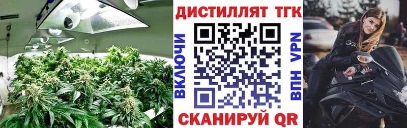 ТГК концентрат нарко площадка телеграм Касимов