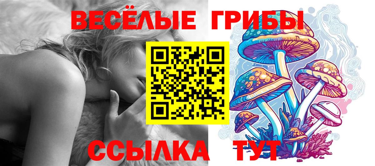Псилоцибиновые грибы Cubensis Касимов
