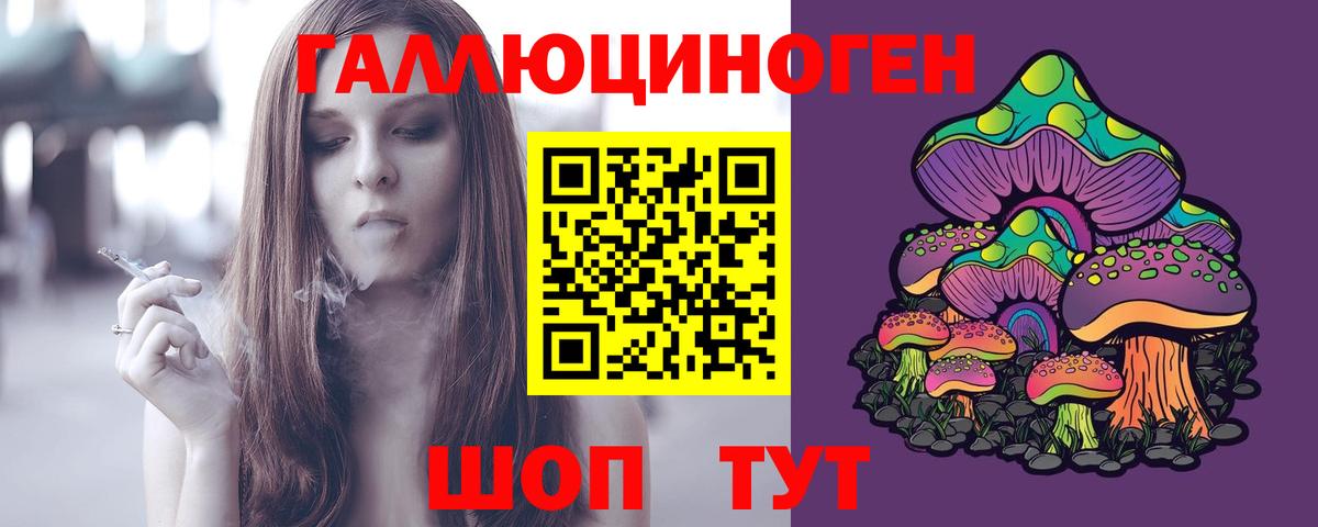 Галлюциногенные грибы Psilocybe  Вход с VPN  купить  цена  Касимов 